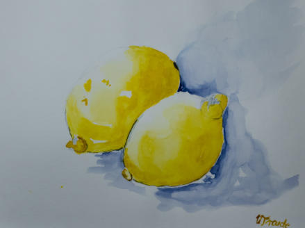 Aquarell 30 x 24 cm - Zitronen